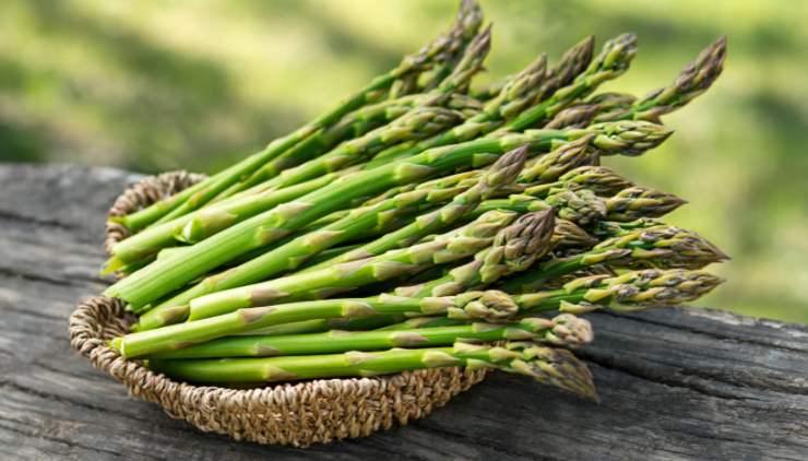 Asparagi